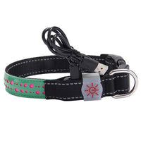 HKM-4802621 LED Light-Up Pet Collar with USB Charging - Available in Multiple Sizes