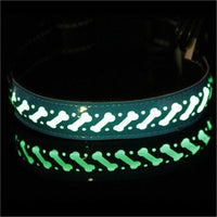 HKM-4802621 LED Light-Up Pet Collar with USB Charging - Available in Multiple Sizes