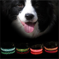 HKM-4802621 LED Light-Up Pet Collar with USB Charging - Available in Multiple Sizes