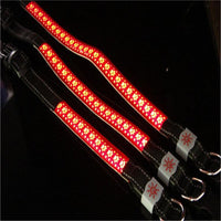 HKM-4802621 LED Light-Up Pet Collar with USB Charging - Available in Multiple Sizes