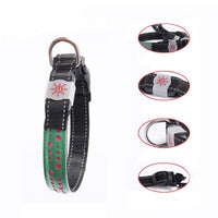 HKM-4802621 LED Light-Up Pet Collar with USB Charging - Available in Multiple Sizes
