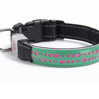 HKM-4802621 LED Light-Up Pet Collar with USB Charging - Available in Multiple Sizes