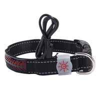 HKM-4802621 LED Light-Up Pet Collar with USB Charging - Available in Multiple Sizes
