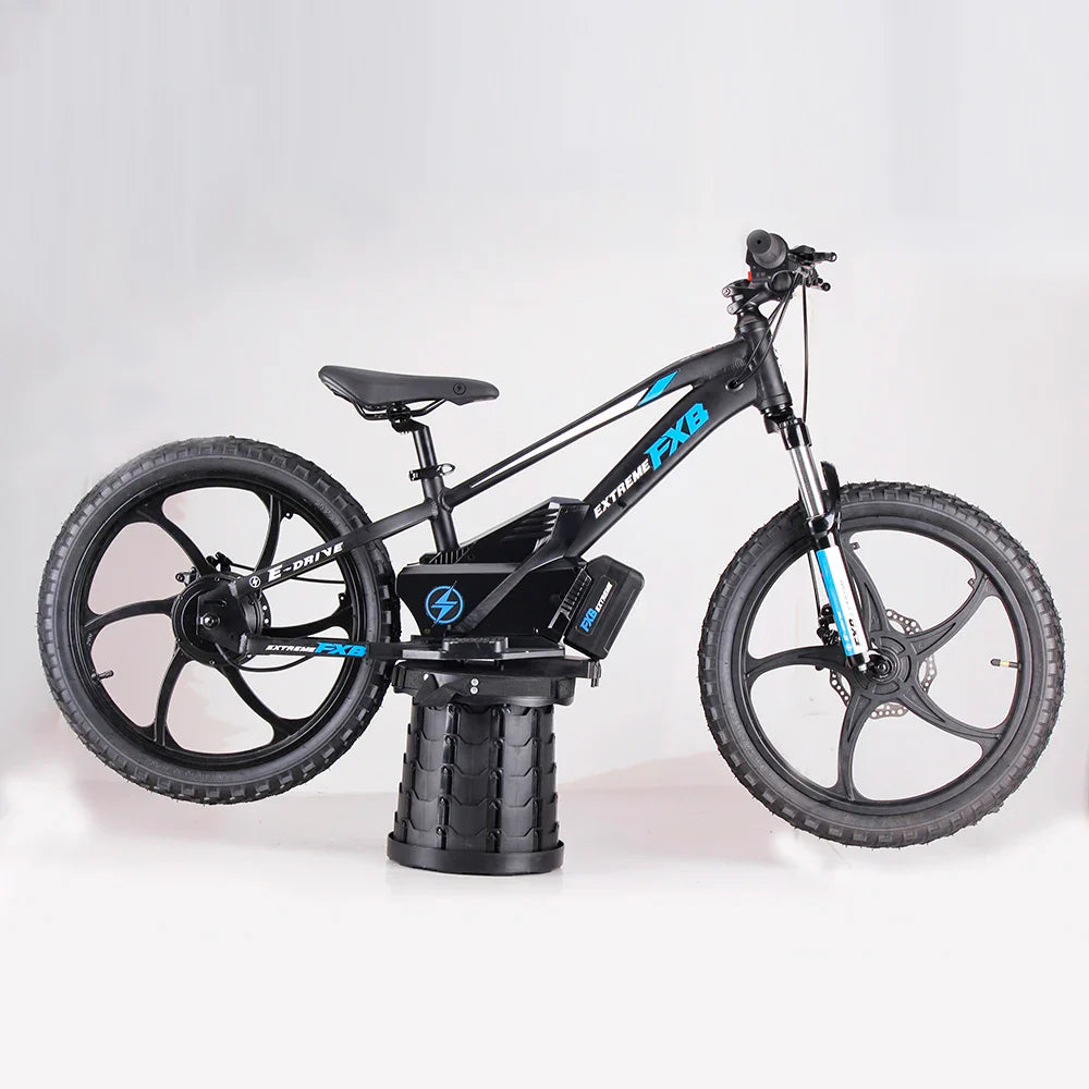 HKM-480531 Electric Balance Bike 20 Inch, 600W Hub Motor, Aluminum Alloy Frame, 3 Speed, Hydraulic Brake, for Kids
