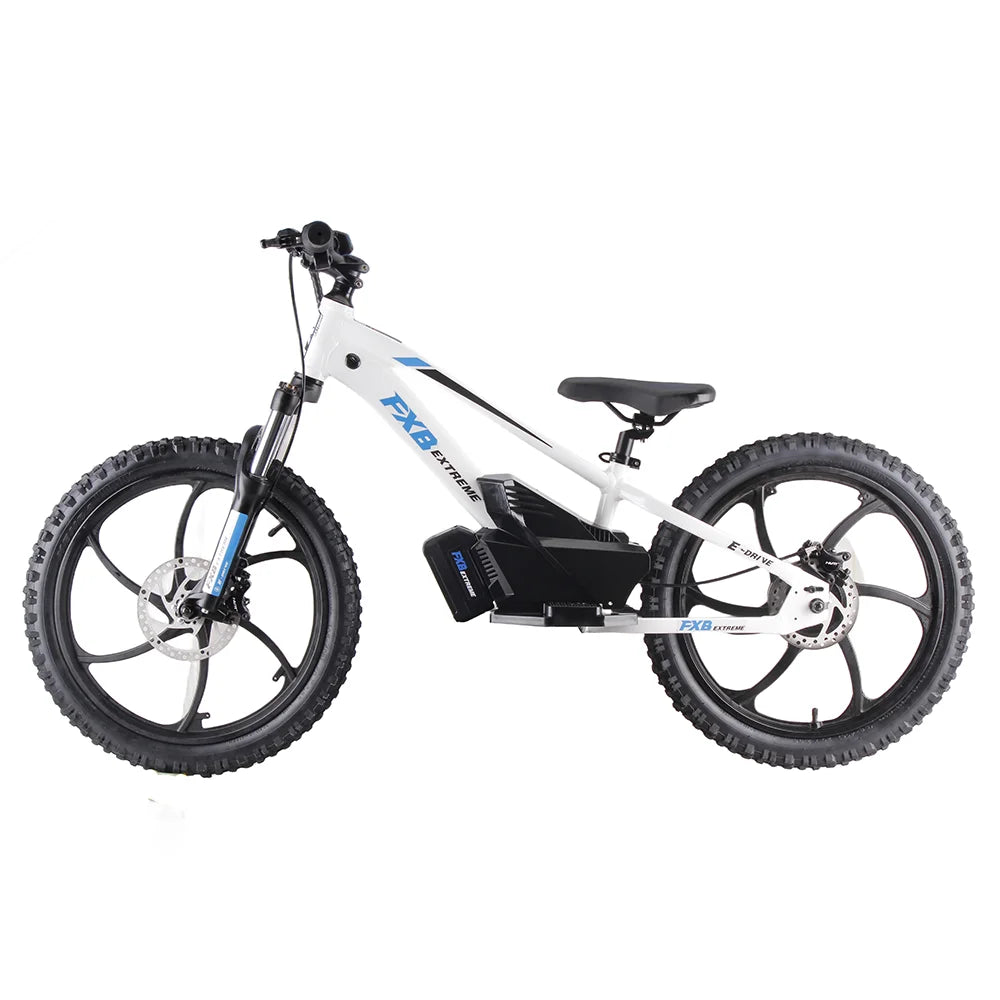 HKM-480531 Electric Balance Bike 20 Inch, 600W Hub Motor, Aluminum Alloy Frame, 3 Speed, Hydraulic Brake, for Kids