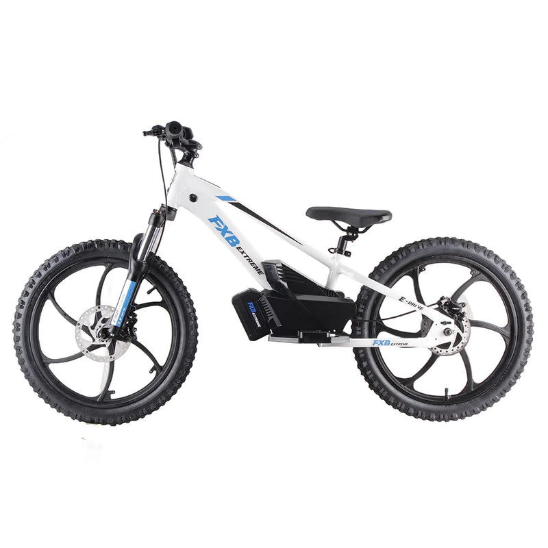 HKM-480531 Electric Balance Bike 20 Inch, 600W Hub Motor, Aluminum Alloy Frame, 3 Speed, Hydraulic Brake, for Kids