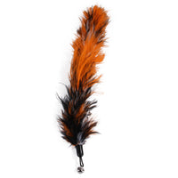 HKM-4807229 Retractable Cat Stick with Feather and Caterpillar Replacement Heads - 11 Piece Toy Set
