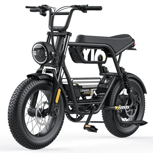HKM-481043 Electric Mountain Fat Tire Bike 48V 1000W with 150 km Range and 7-Speed Gears