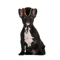 HKM-4811197 Cartoon-Style Warm Hat for Cats and Dogs - Fun Pet Costume Accessory