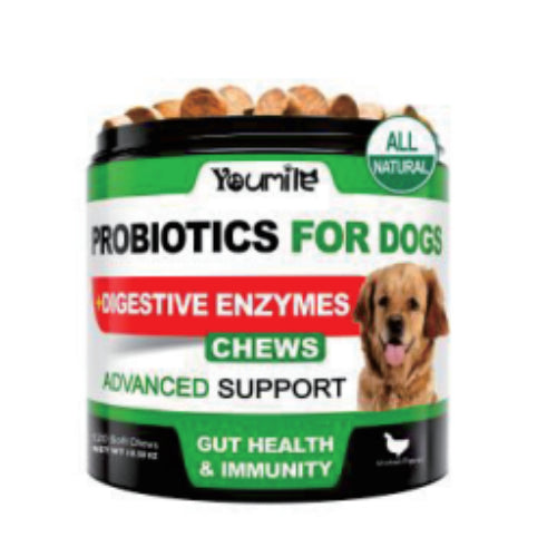 HKM-4812221 Probiotic Chewable Capsules - 120 Count Dietary Supplement for Digestive Health