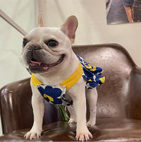 HKM-4812733 Blue Cotton Print Pet Skirt with Lace Trim for Dogs - Multiple Sizes Available