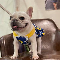 HKM-4812733 Blue Cotton Print Pet Skirt with Lace Trim for Dogs - Multiple Sizes Available