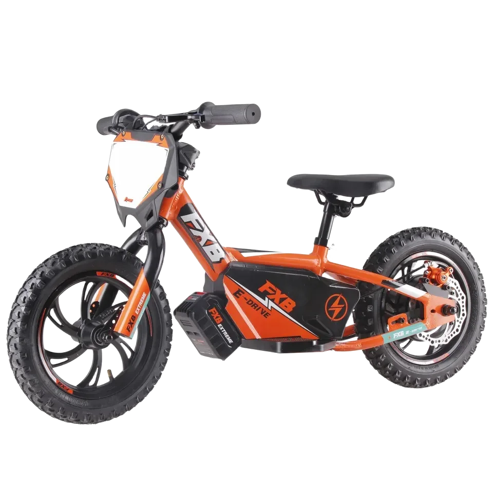 HKM-481683 Electric Mini Balance Bike for Kids, 250W 36V, 16-Inch Lightweight Self-Balancing Scooter, Disc Brake, Aluminum Frame