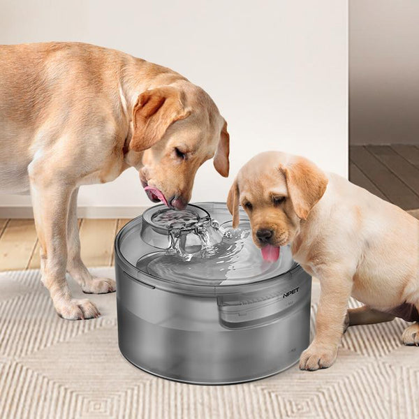 HKM-4817981 Automatic Pet Water Dispenser with Circulation Flow and Filter Options