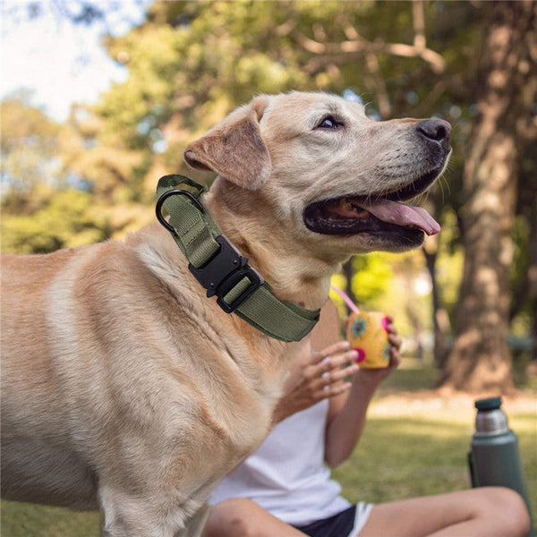 HKM-4821693 Personalized Monochrome Tactical Dog Collar ¨C Durable Nylon, Adjustable Sizes: M, L, XL