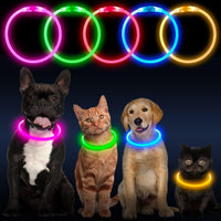 HKM-4825149 LED Dog Collar - Rechargeable Glow in the Dark Safety Necklace for Pets, Adjustable Fit, USB Charging