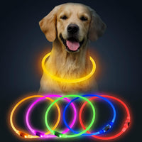 HKM-4825149 LED Dog Collar - Rechargeable Glow in the Dark Safety Necklace for Pets, Adjustable Fit, USB Charging
