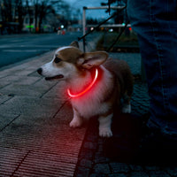 HKM-4825149 LED Dog Collar - Rechargeable Glow in the Dark Safety Necklace for Pets, Adjustable Fit, USB Charging
