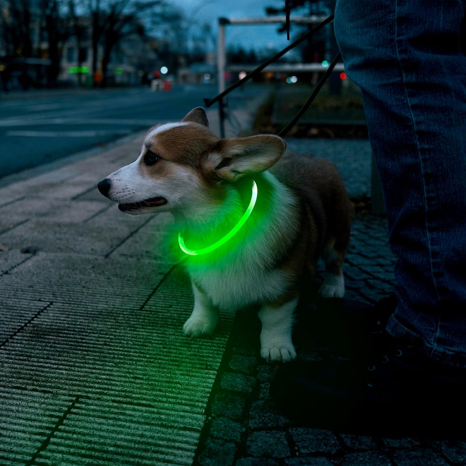 HKM-4825149 LED Dog Collar - Rechargeable Glow in the Dark Safety Necklace for Pets, Adjustable Fit, USB Charging
