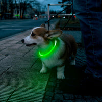 HKM-4825149 LED Dog Collar - Rechargeable Glow in the Dark Safety Necklace for Pets, Adjustable Fit, USB Charging