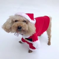 HKM-4826045 Santa Claus Transformation Costume for Pets - Casual Red Outfit in Sizes 8-16