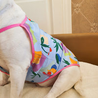 HKM-4828221 Lightweight and Breathable Pet Sling Vest in Blue and Black for Comfortable Outdoor Use