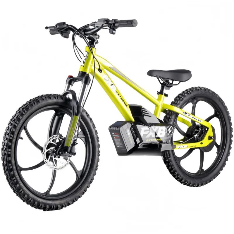 HKM-482835 400W Electric Bike for Kids Ages 8-15, 3-Speed Aluminum Alloy Frame, Front Suspension, Disc Brakes, 20-Inch Wheels, Lightweight Design