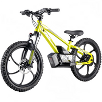 HKM-482835 400W Electric Bike for Kids Ages 8-15, 3-Speed Aluminum Alloy Frame, Front Suspension, Disc Brakes, 20-Inch Wheels, Lightweight Design