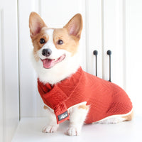 HKM-4843325 Vintage Twist Pet Sweater in Wine Red and Hemp Grey - Casual Polyester Dog Clothes