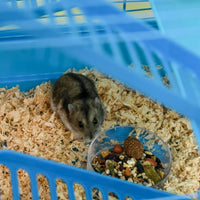 HKM-4848573 5-Tier Blue Hamster Cage with Tubes, Ramps, and Accessories for Small Pets