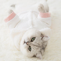 HKM-4849341 Cute Cartoon Pet Cotton Corduroy & Lamb Wool Jacket - Various Sizes Available