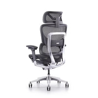 HKM-485011 Ergonomic High Back Mesh Office Chair with Adjustable Features for Comfort