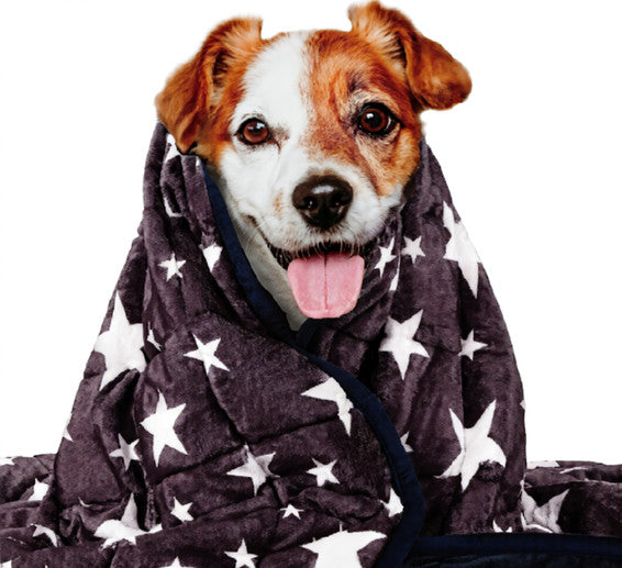 HKM-4851517 Washable Dog Anxiety Blanket - Soft Polyester, Available in Gray, Dark Blue, and Gray-Blue, 81.3 x 61 cm