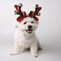 HKM-4852285 Christmas Reindeer Dog Hat with Adjustable Elastic Band and Floral Decor for Small and Large Dogs