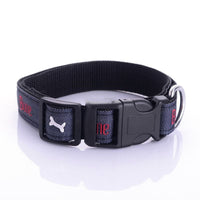 HKM-4852669 Embroidered Leather Dog Collar with Bone Design and Matching Leash in Various Sizes