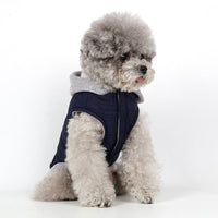 HKM-4855229 Pet Fleece Windproof Cotton-Padded Jacket in Assorted Colors