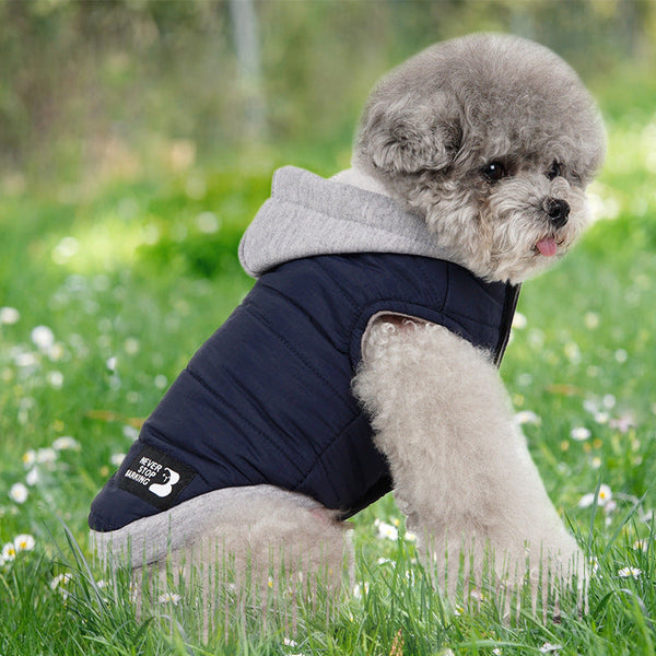 HKM-4855229 Pet Fleece Windproof Cotton-Padded Jacket in Assorted Colors