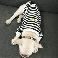 HKM-4855741 Striped Parent-Child Cotton Sweater Set for Small Dogs and Cats