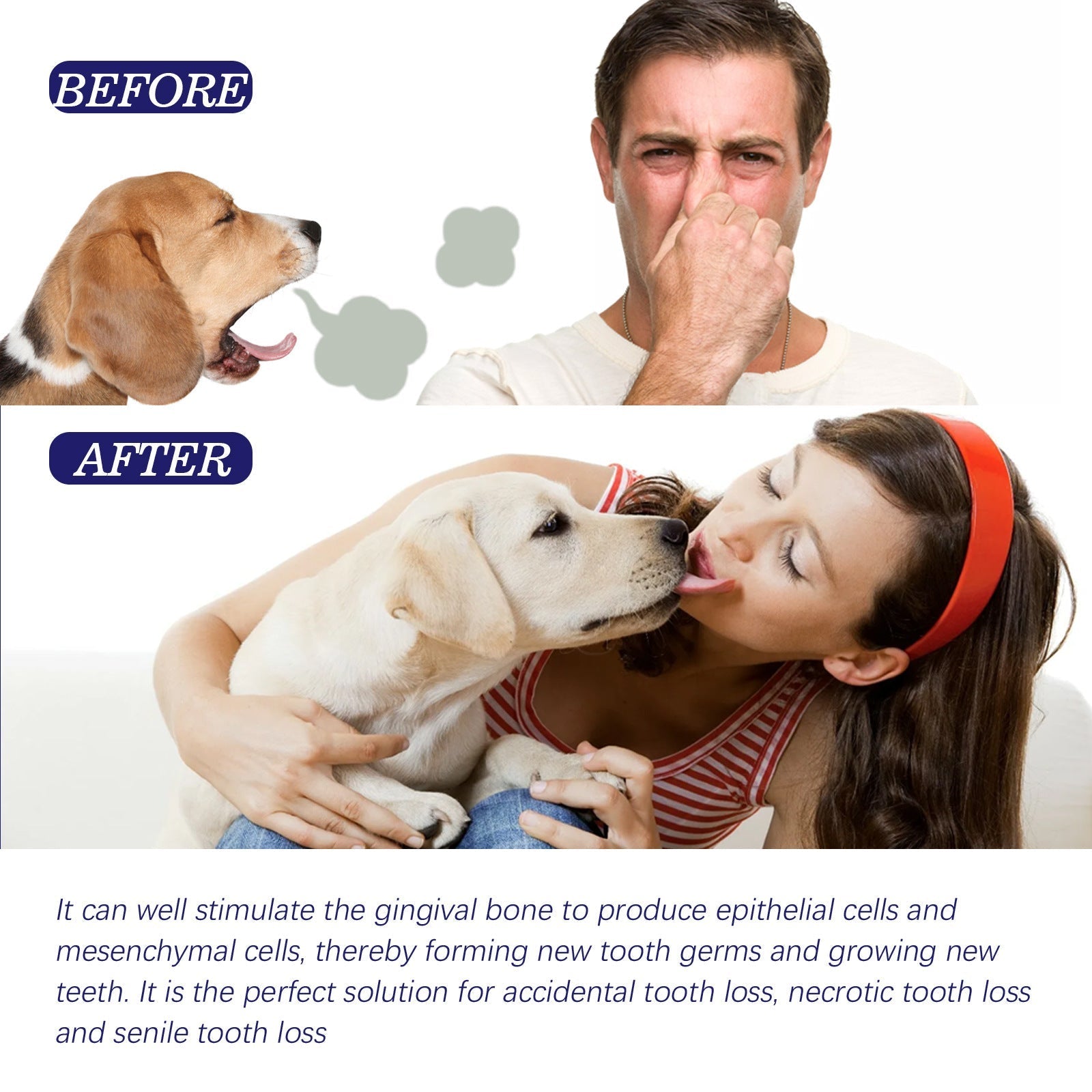 HKM-4856253 Pet Oral Cleansing Cream for Dogs and Cats - 50g Odor Neutralizing Toothpaste