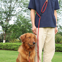 HKM-4860221 Adjustable Reflective Pet Hand Holding Rope - Versatile Polyester Leash in Multiple Colors