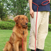 HKM-4860221 Adjustable Reflective Pet Hand Holding Rope - Versatile Polyester Leash in Multiple Colors