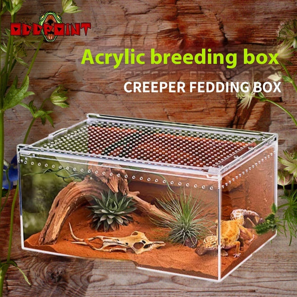 HKM-4861885 Acrylic High Permeability Feeding Box for Reptiles - Multiple Sizes Available