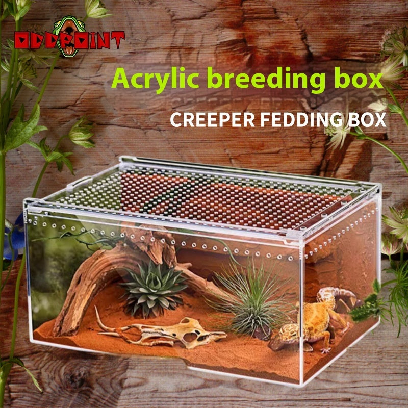 HKM-4861885 Acrylic High Permeability Feeding Box for Reptiles - Multiple Sizes Available