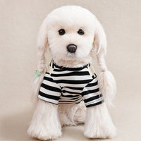 HKM-4866749 Stylish Orange Personalized Dog Overalls - Casual Pet Clothing in Multiple Sizes