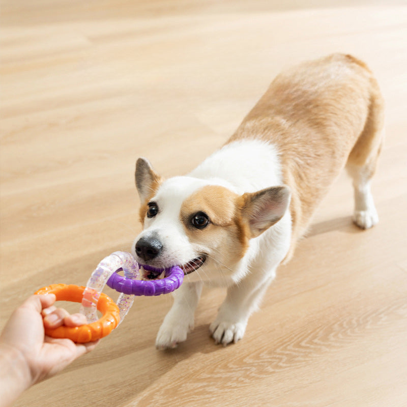 HKM-4869437 Durable Flying Disk and Training Ring for Interactive Play with Small to Medium Dogs