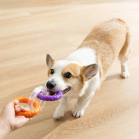 HKM-4869437 Durable Flying Disk and Training Ring for Interactive Play with Small to Medium Dogs