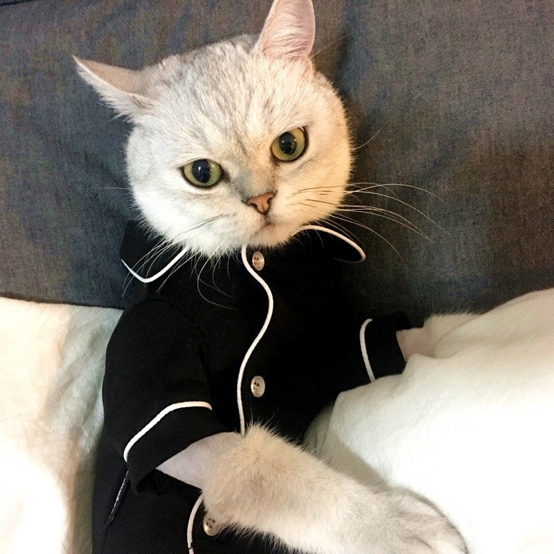 HKM-4870333 Summer Cat Dress - Casual Pajamas for Feline Comfort in Various Sizes