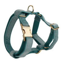 HKM-4871229 Stylish Velvet Pet Collar and Traction Rope Set with Bow and Flower Accessories