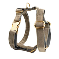HKM-4871229 Stylish Velvet Pet Collar and Traction Rope Set with Bow and Flower Accessories