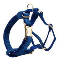 HKM-4871229 Stylish Velvet Pet Collar and Traction Rope Set with Bow and Flower Accessories